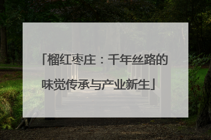 榴红枣庄：千年丝路的味觉传承与产业新生